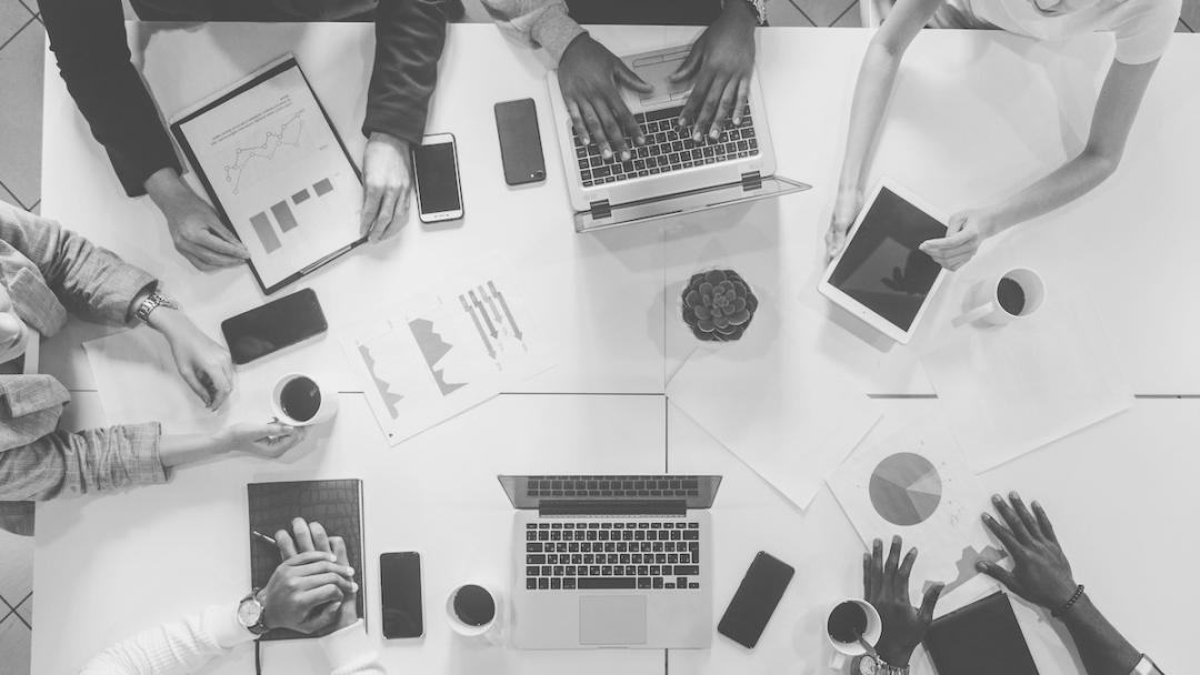 Interface de plateforme éducative montrant des modules interactifs de formation SEO local